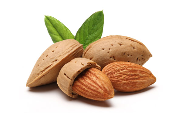 mandorle mandorle